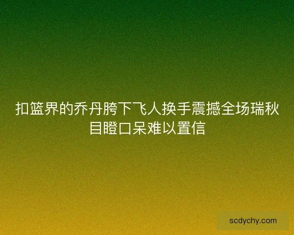 扣篮界的乔丹胯下飞人换手震撼全场瑞秋目瞪口呆难以置信