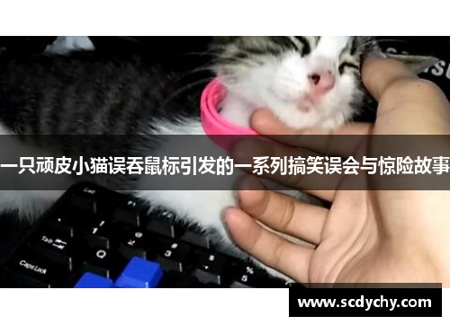 一只顽皮小猫误吞鼠标引发的一系列搞笑误会与惊险故事