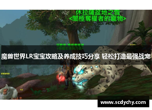 魔兽世界LR宝宝攻略及养成技巧分享 轻松打造最强战宠