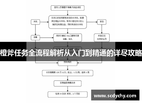 橙斧任务全流程解析从入门到精通的详尽攻略